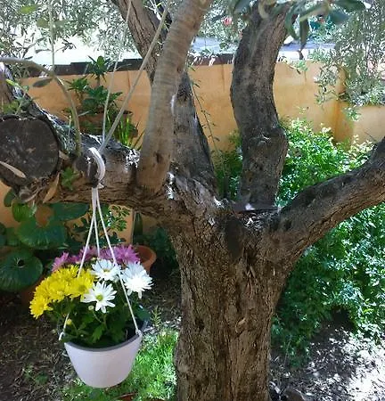 Appartement Casa Rosina
